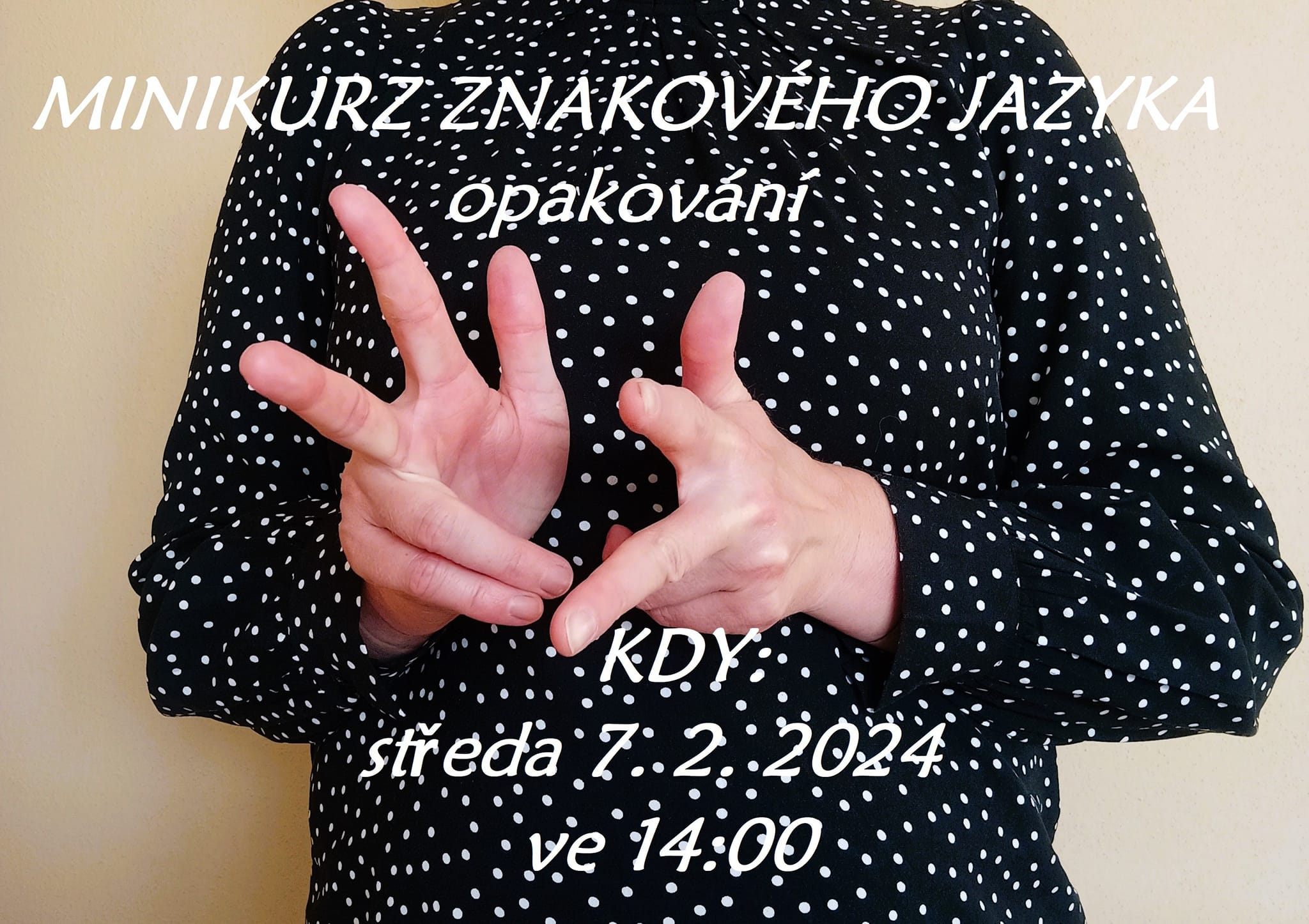 Kurz znakového jazyka - opakování